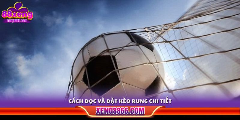 Hướng dẫn cách xem tỷ lệ và đặt cược kèo