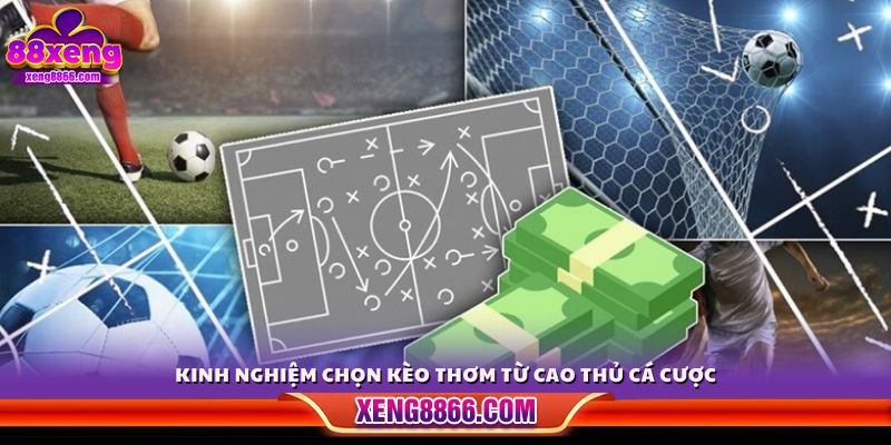 Bí quyết soi kèo hiệu quả được chia sẻ bởi các cao thủ